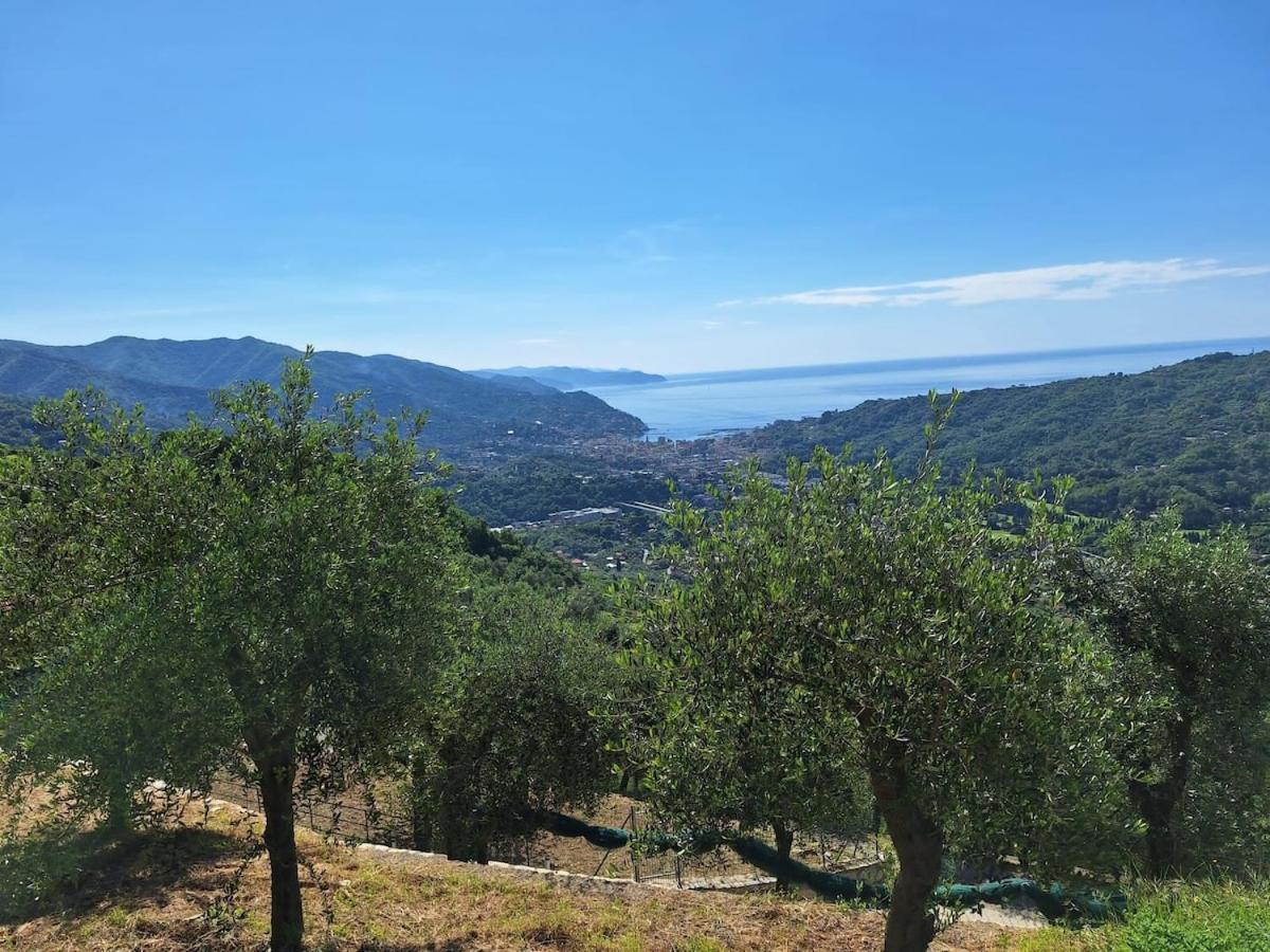 Sea-View Retreat - Pool, Tavern, Fireplace Villa Rapallo Exterior photo